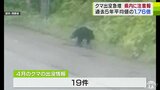 青森県に2年連続の「ツキノワグマ出没注意報」 出没情報が過去5年間の4月の平均値の1.76倍に | 青森のニュース│ATV NEWS│青森テレビ