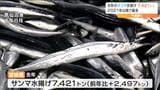 去年の宮城県沖のサンマ水揚げ量『7400トン』2021年以降で最多 それでも近年のピーク時の1割以下 | 宮城のニュース│tbc NEWS│tbc東北放送