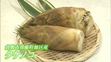 春の味覚「白く柔らかく美味しいタケノコ」倉敷市真備町の特産 デパートに初入荷【岡山】|TBS NEWS DIG