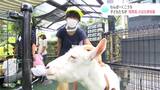 4年ぶり!わんぱーくこうちアニマルランドででサマースクール 飼育員のお仕事を体験 | 高知のニュース・天気|KUTV NEWS | KUTVテレビ高知