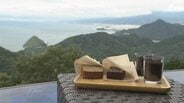 「ゆくゆくは食品に関するごみという概念を無くしていけたら」伊豆の映えスポットで誕生した環境に優しいスイーツ 捨てられていた「コーヒーかす」を有効活用【SDGs】　|　静岡のニュース | SBSNEWS | 静岡放送