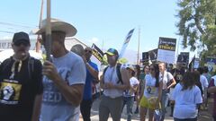 米俳優組合　AIなどめぐる新労使協定を承認| TBS CROSS DIG with Bloomberg