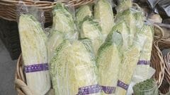 3月は12品目の野菜価格が平年より高くなる見通し　「キャベツ」や「はくさい」など平年の2倍以上| TBS CROSS DIG with Bloomberg