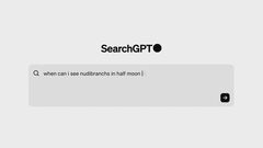 アメリカ・オープンAI、生成AI使った検索機能「サーチGPT」試用版発表、グーグルに対抗か| TBS CROSS DIG with Bloomberg