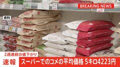 【速報】コメ平均価格5キロ4223円　2週連続の値下がり| TBS CROSS DIG with Bloomberg