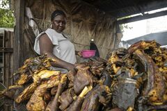 「野生動物の肉」需要高まるナイジェリア－違法販売横行で感染症懸念| TBS CROSS DIG with Bloomberg