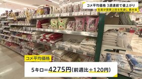 コメ平均価格3週連続値上がり5キロ4275円　一方今年の新米　生産が需要を“最大50万トン程度”上回る見通し　農水省|TBS NEWS DIG