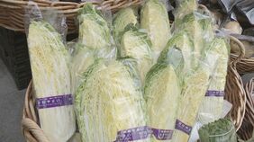 3月は12品目の野菜価格が平年より高くなる見通し　「キャベツ」や「はくさい」など平年の2倍以上|TBS NEWS DIG