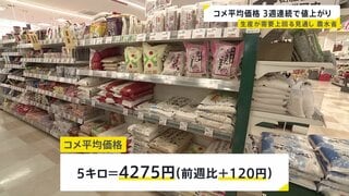コメ平均価格3週連続値上がり5キロ4275円 一方今年の新米 生産が需要を“最大50万トン程度”上回る見通し 農水省| TBS CROSS DIG with Bloomberg
