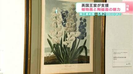 英国王室が育んだ芸術 ボタニカルアートと華麗なるウェッジウッドの
