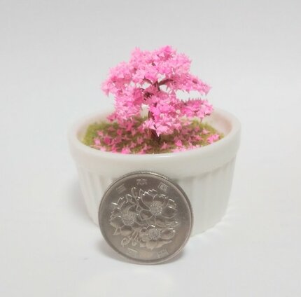 祖父母がすごく褒めてくれて それがすごくうれしくて」超超超超