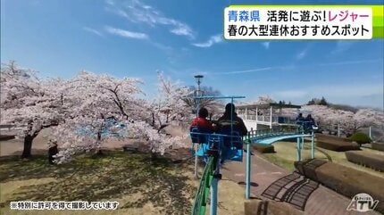 森園はく 5点お取り置き お散歩ガイド「森のしずくさんぽみち2022・やまゆりセルフガイド