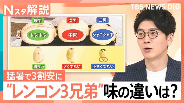 猛暑で豊作「レンコン」がお手頃価格に！部位で変わる「3兄弟」の味・食感とおすすめレシピ【Nスタ解説】|TBS NEWS DIG