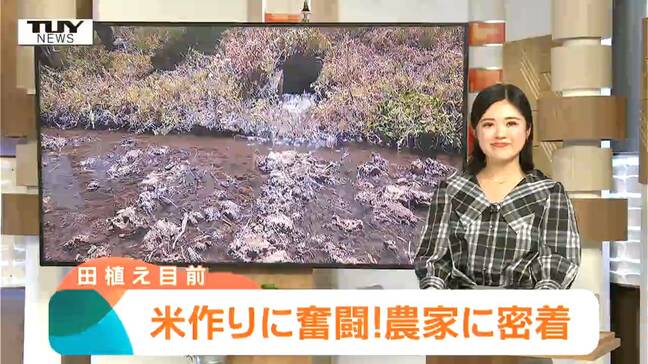 いよいよコメ作りシーズン本番！ コメ作りに奮闘する農家を田んぼへの水張りが始まる日に取材！（山形）|TBS NEWS DIG