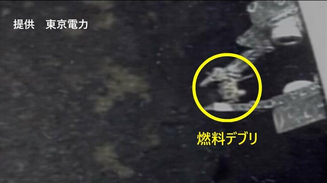 燃料デブリ試験的取り出し「テレスコ式装置」で再採取検討 東京電力福島第一原発2号機|TBS NEWS DIG