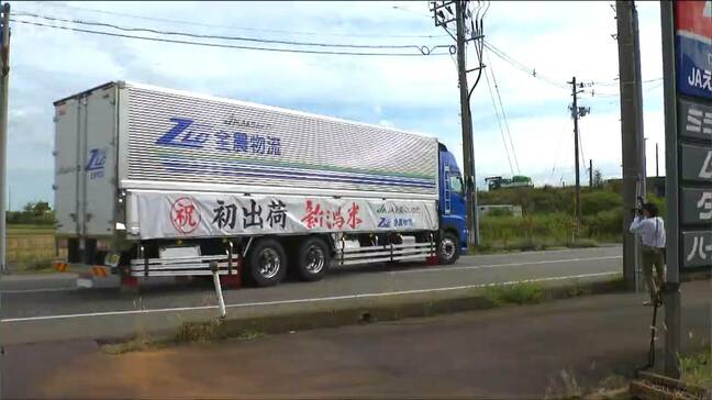 コメの在庫も回復へ　いよいよ始まる『新米』の季節 新潟県産コシヒカリは19日頃から店頭に|TBS NEWS DIG