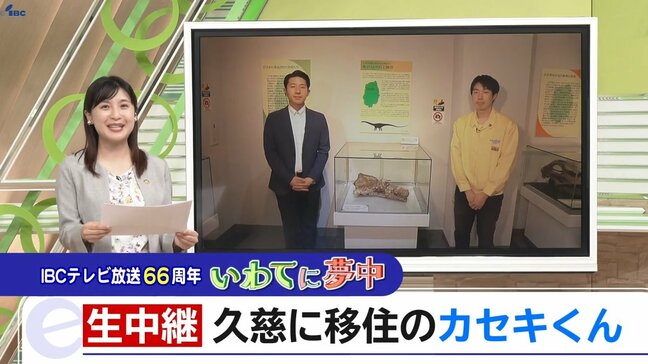 岩手県久慈市から中継 岩手の化石に夢中な「カセキくん」石賀大登さんを紹介|TBS NEWS DIG