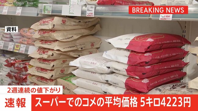【速報】コメ平均価格5キロ4223円　2週連続の値下がり|TBS NEWS DIG