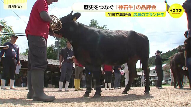 広島ブランド牛「神石牛」の品評会 飼料高騰で苦境も99歳の生産者「やらにゃあいけん これが生きがい」|TBS NEWS DIG