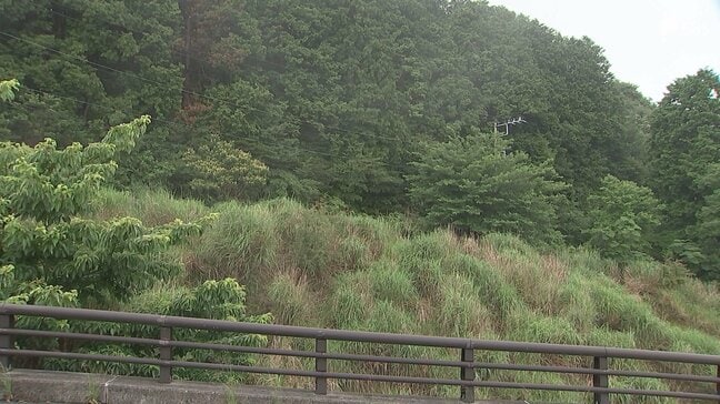 「撤去すべき立場にない 県と協議はしていく」熱海・下多賀の盛り土 不動産管理会社が県の復旧命令に応じず...撤去の見通し立たず 伊豆山地区の土石流崩落地の旧所有者|TBS NEWS DIG
