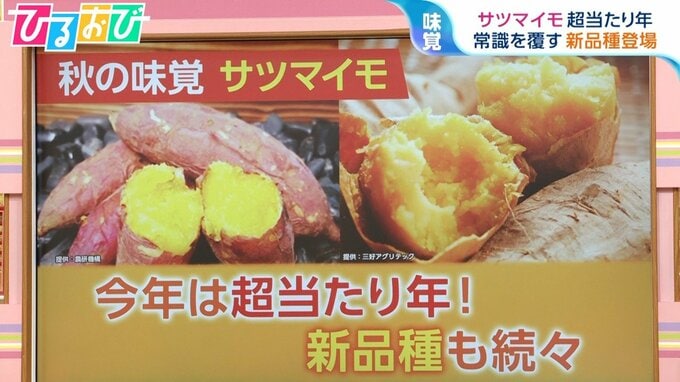 今年は「サツマイモ」の超当たり年!「皮が真っ白」「栗のような甘さ」新品種続々【ひるおび】|TBS NEWS DIG