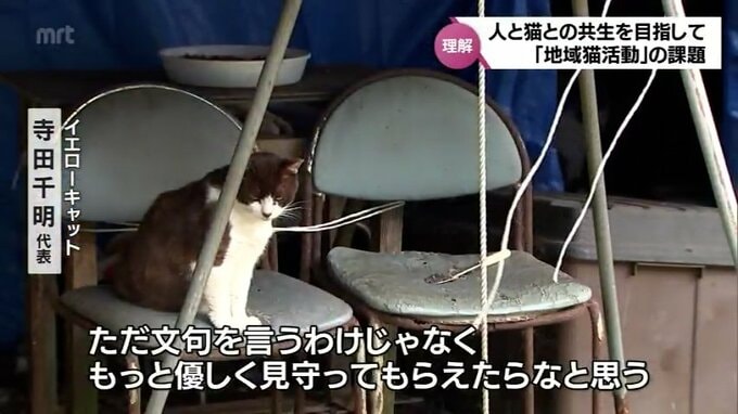 「ただ文句をいうわけではなく、もっと優しく見守っていただけたら」人と猫の共生する社会の実現目指して「地域猫」活動の課題　|　MRTニュース ｜ ＭＲＴ宮崎放送