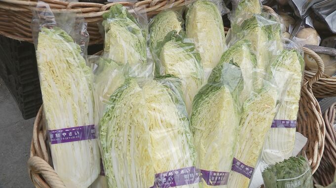 3月は12品目の野菜価格が平年より高くなる見通し　「キャベツ」や「はくさい」など平年の2倍以上