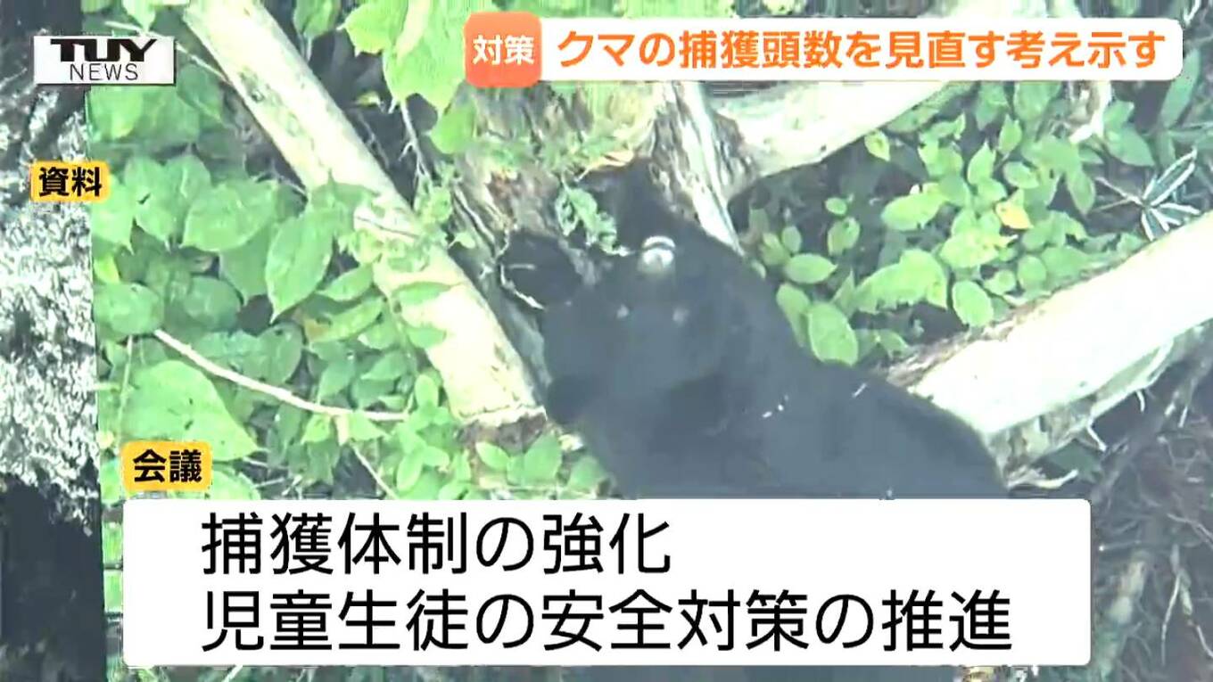 黄色いくまさん　青森岩木山採取　あけび蔓　150cm～ 20kg　1 一段ギアを上げて」木原官房長官がクマの捕獲頭数を見直す考え示す
