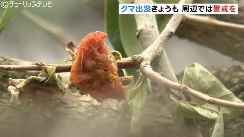 まさかここで…」住宅地にクマの足跡 各地で痕跡が相次ぐ 住民に不安