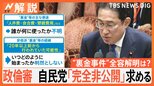 野田元総理「完全公開でやれと指示したら?」岸田総理「国会で判断されるべき」政倫審の開催めぐり協議難航 “裏金事件”全容解明は?【Nスタ解説】|TBS NEWS DIG