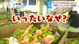 旬が過ぎた「シャインマスカット」出荷が続く不思議?そのワケを取材すると…答えは「冷蔵庫」にあった! 長野・須坂市 | SBC NEWS | 長野のニュース | SBC信越放送
