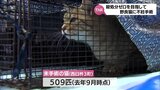 殺処分ゼロを目指して 野良猫など不妊手術を行い戻す「TNR活動」 西臼杵郡3町で始まる | MRTニュース | MRT宮崎放送