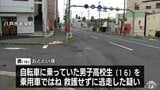 高校生をひき逃げか18歳の男を逮捕 高校生は骨折する大けが 容疑を認める 青森県八戸市|TBS NEWS DIG