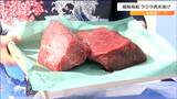「ニタリクジラ48頭・イワシクジラ1頭・ナガスクジラ4頭」捕獲 捕鯨母船がニタリクジラの生肉水揚げ 仙台港|TBS NEWS DIG