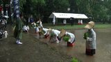 宮崎神宮で御田植祭 早乙女姿の高校生らが苗植える|TBS NEWS DIG