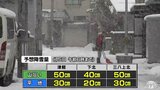 海上は大しけ警戒・陸上は大雪などに注意を 15日にかけ大荒れの天気に 青森県|TBS NEWS DIG