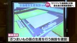 サツマイモ基腐病に対応 霧島酒造が健全な苗の育成と供給行う新施設の建設を発表|TBS NEWS DIG