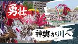 25万人を魅了、川の中に複数の神輿が入り“競演”「川渡り神幸祭」-福岡 | 福岡のニュース|RKB NEWS|RKB毎日放送