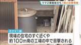 「奥を見たら親グマが…」緊急銃猟から一夜　現場付近で子グマ1頭の目撃情報　住民に警戒呼びかけ　京都・舞鶴市　|　MBSニュース | 関西の最新ニュースを分かりやすく。