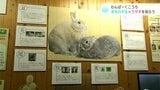来年の干支=ウサギを知ろう 高知市のわんぱーくこうちアニマルランドで企画展 | 高知のニュース・天気|KUTV NEWS | KUTVテレビ高知