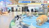 関空・国際線出国エリアがリノベーション 面積拡大などでキャパ2倍に 限定グッズ販売の「ユニバショップ」や一杯3000~5000円のラーメン提供のお店も⁉|TBS NEWS DIG