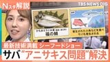 魚の皮が1秒でむける? サバの“アニサキス問題”も解決 最新技術満載のシーフードショー【Nスタ解説】|TBS NEWS DIG