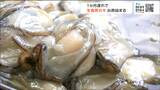 「去年よりはいい。小ぶりですけどまあまあです」1か月遅れで生食用カキ出荷始まる 海水温の上昇で成育遅れ 宮城|TBS NEWS DIG