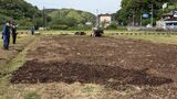 SDGsなヒマワリ畑に 伐採された木を肥料として再利用 南伊豆町の花畑=静岡県 | 静岡のニュース | SBSNEWS | 静岡放送