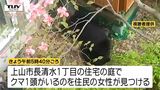 【動画】「まさかウチに」住宅の庭にクマが居座る 麻酔で眠ったところを捕獲(山形・上山市) | 山形のニュース│TUYテレビユー山形