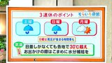 高知の天気 土日は台風13号の影響で雨に 東杜和気象予報士が解説 | 高知のニュース・天気|KUTV NEWS | KUTVテレビ高知