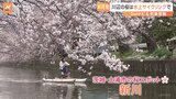 「贅沢な時間」水上自転車に乗り“川の上”からお花見　茨城県土浦市|TBS NEWS DIG
