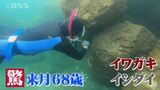 ”６７歳とは思えない動きでスーッ”　高級旅館で人気の岩蠣懐石…実は社長が！　|　BSSニュース | BSS山陰放送