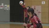 6年生にとっては最後のバレーボール大会 サン・リフォームカップ開催 山口県下松市|TBS NEWS DIG