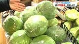 キャベツ1玉480円「2月後半は価格安定か」白菜も例年にない高値…今後どうなる? | 鹿児島のニュース|MBC NEWS|南日本放送